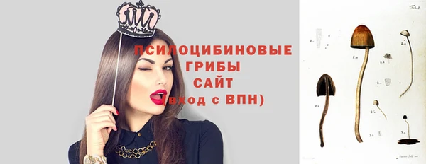 кокаин премиум Белокуриха