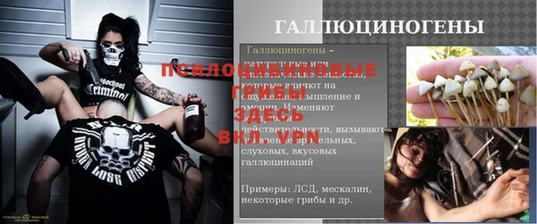 дурь Белоозёрский