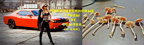 дурь Белоозёрский